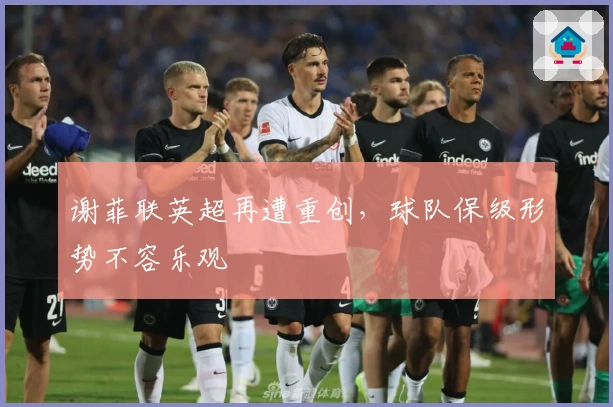 谢菲联英超再遭重创,球队保级形势不容乐观