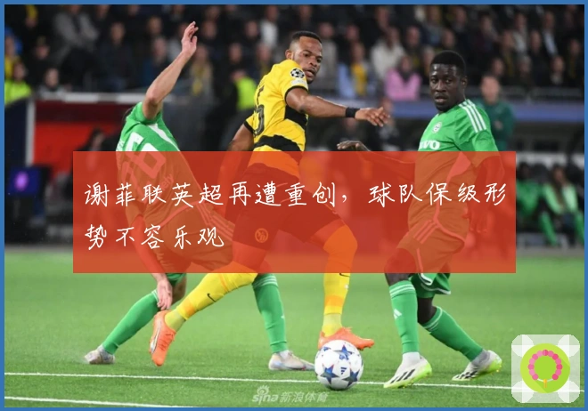 谢菲联英超再遭重创，球队保级形势不容乐观